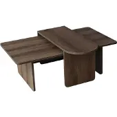 CALICOSY Salontafels set van 2 asymmetrische bladen l105 cm livia