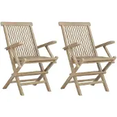 vidaXL Tuinstoelen inklapbaar 2 st 56x61x89 cm massief teakhout grijs