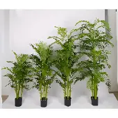 Oosterik Home Mini palm 210 cm kunstplant