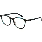 Bulget Brilmontuur BG6429M E01 51