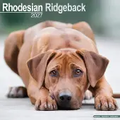 Avonside Publishing Ltd. Rhodesian Ridgeback Kalender 2027