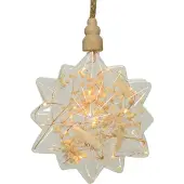 Lumineo Micro Led Ster Met Droogbloemen Ø 19cm Transparant transparant Glas