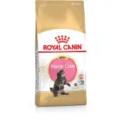 Royal Canin Droogvoer kat maine coon kitten 4 kg Royal Canin online kopen