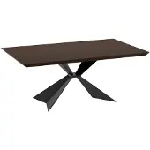 STONES Sterk - Vaste tafel (200 x 100 cm) van zwart fineer