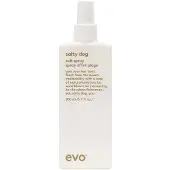 Evo salty dog Salt Spray Texturizing Spray 200 ml