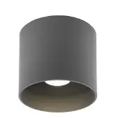 Wever & Ducre Ray Outdoor LED Plafondlamp Dark Grey | 2700 K