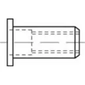 Toolcraft TO-5380467 Popmoer M5 RVS 500 stuk(s)