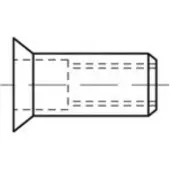 Toolcraft TO-5455332 Popmoer M8 500 stuk(s)