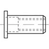 Toolcraft TO-5455317 Popmoer M6 500 stuk(s)