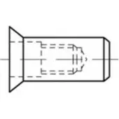 Toolcraft TO-5444316 Popmoer M8 Staal 250 stuk(s)