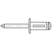 Toolcraft TO-5455302 Open popnagel 4.8 mm 250 stuk(s)