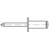 Toolcraft TO-5381145 Popnagel 6 mm RVS 200 stuk(s)