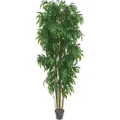 Brulo Bambus 210 cm