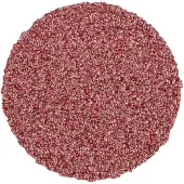 PFERD TOOLS CD 25 A 60 FORTE 42751306 Schuurblad Korrelgrootte (num) 60 (Ø x l) 25 mm x 25 mm 100 stuk(s)