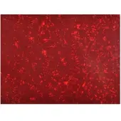 Göldo Pickguard blank 3-ply rood pearl 23x41 - Pickguard