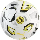 Puma Borussia Dortmund STELLAR Cup Fußball