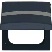 ABB Busch-Jaeger adapterplaat met tekstveld IP44 - 2CKA001710A1993