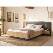 Vente-unique Bed met opbergruimte hout antracietgrijs 160 x
