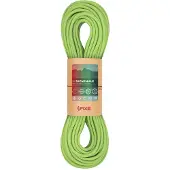 Fixe Vignemale 8,0mm Klimtouw (Maat 60M, Groen)