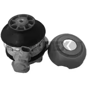 CAUTEX 756509 Motorsteunlager
