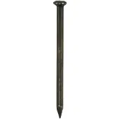 Don quichotte DQ stalen nagel 3.0x30mm bkv (100st)