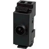 Buster + Punch - TOGGLE MODULE / STANDARD / 2 WAY