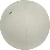 Leitz Ergo actieve zitbal lichtgrijs 65 cm