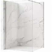 REA Walk-in Douchewand Flexi Transparent / Chrome 140