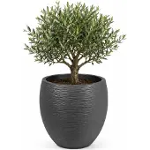Eda Bloempot EDA Graphit Rond Plastic Donker grijs (Ø 50 x 45 cm)