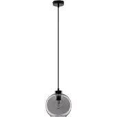 Lyora Hanglamp Palmer enkel zwart met smoke glas