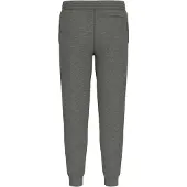 GUESS Mini Triangle joggingbroek voor heren