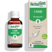 Herbalgem Zwarte Bes Bio | 30 ml
