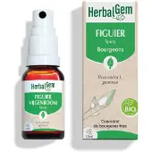 Herbalgem Vijgenboom Spray Knoppen Bio | 15 ml