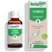 Herbalgem Lijsterbes Bio 30 ml Druppels