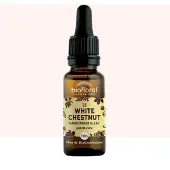 Biofloral Bachbloesems 35 Paardenkastanje Bio 20 ml Druppels