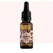 Biofloral Bachbloesems 05 Loodkruid Bio 20 ml Druppels