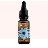 Biofloral Bachbloesems 11 Veldiep Bio 20 ml Druppels
