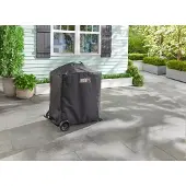 Weber Traveler Compact hoes