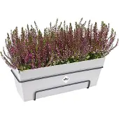 Elho Loft Urban Balkonbak Allin1 50 - Plantenbak voor Balkon Buiten - Ø 49.0 x H 20.5 cm - Wit