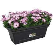 Elho Green Basics Balkonbak Xl Allin1 55 - Plantenbak voor Balkon Buiten - Ø 54.5 x H 22.5 cm - Living black