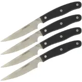 Nirosta Set van 4 steakmessen 22 cm Fit