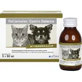 Alfavet ReConvales Gastro Balance