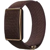 Polar Loop Bruin