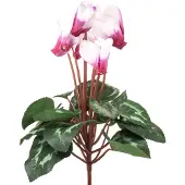 Emerald - Kunstplant Cyclamen wit/beauty 30cm - Kunstplant voor binnen