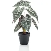 Emerald - Kunstplant in pot Alocasia 40cm - Kunstplant voor binnen