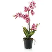 Emerald - Kunstplant Vanda in pot oudroze 60cm - Kunstplant voor binnen