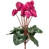 Emerald - Kunstplant Cyclamen felroze 30cm - Kunstplant voor binnen
