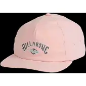 Billabong Arch Team Pet