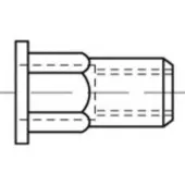 Toolcraft TO-5380593 Popmoer M10 RVS 200 stuk(s)