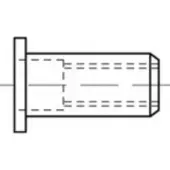 Toolcraft TO-5444343 Popmoer M4 Staal 500 stuk(s)